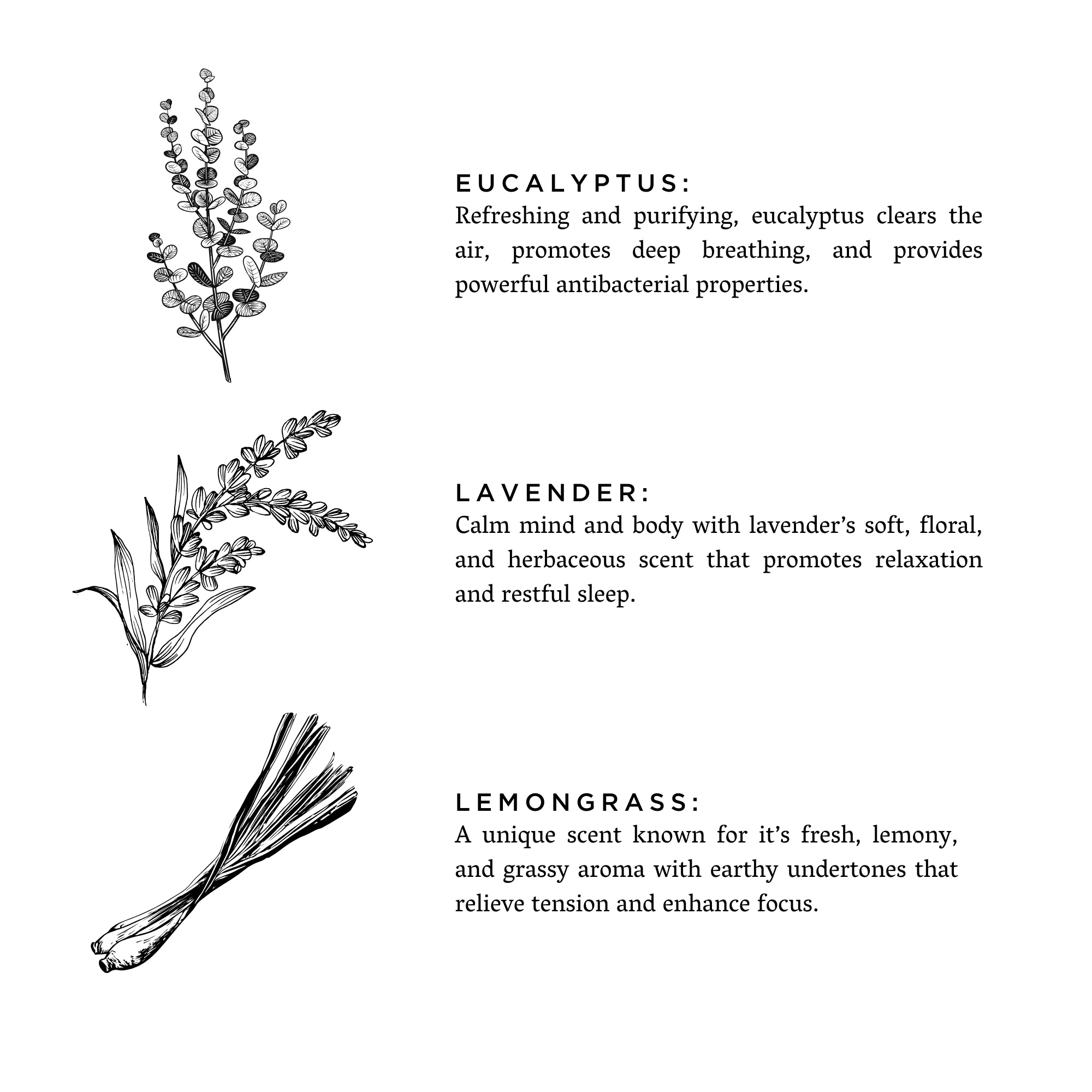 Shangri-La Atmosphere (Eucalyptus + Lavender + Lemongrass)